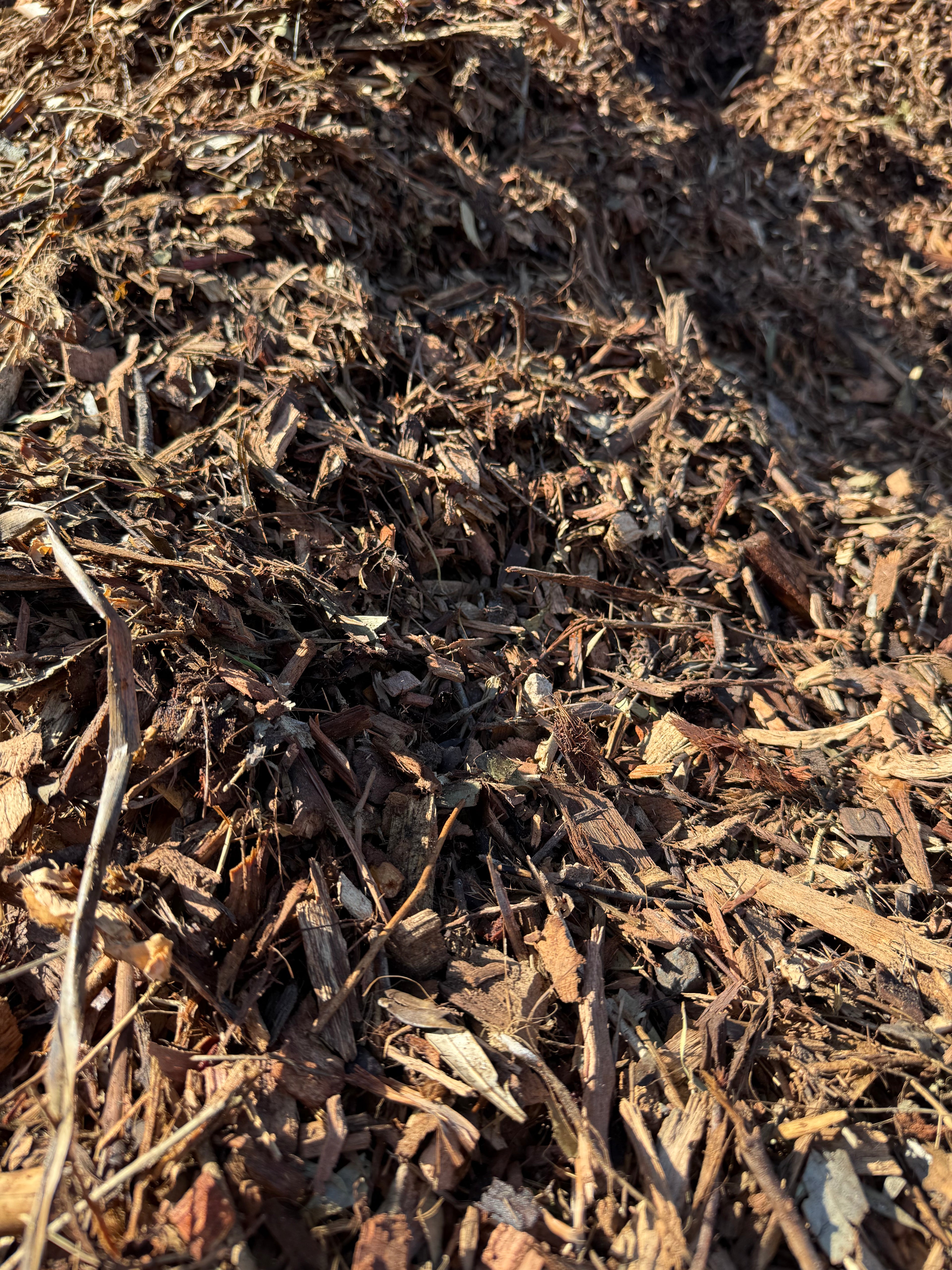 Arbor Mulch