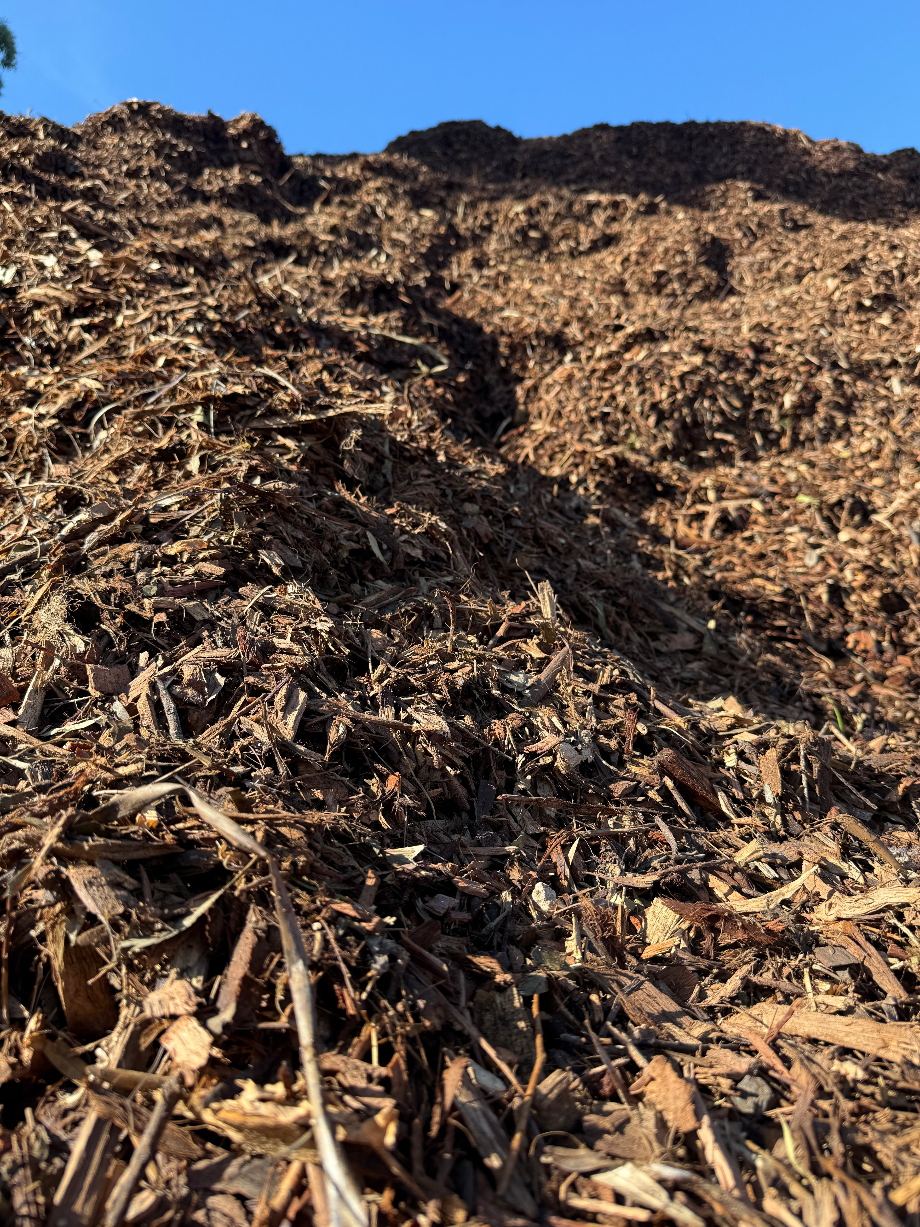 Arbor Mulch