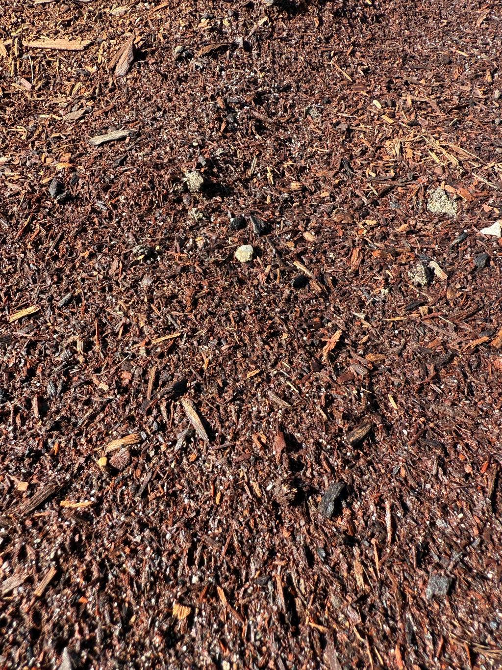 Jarrah Sawdust