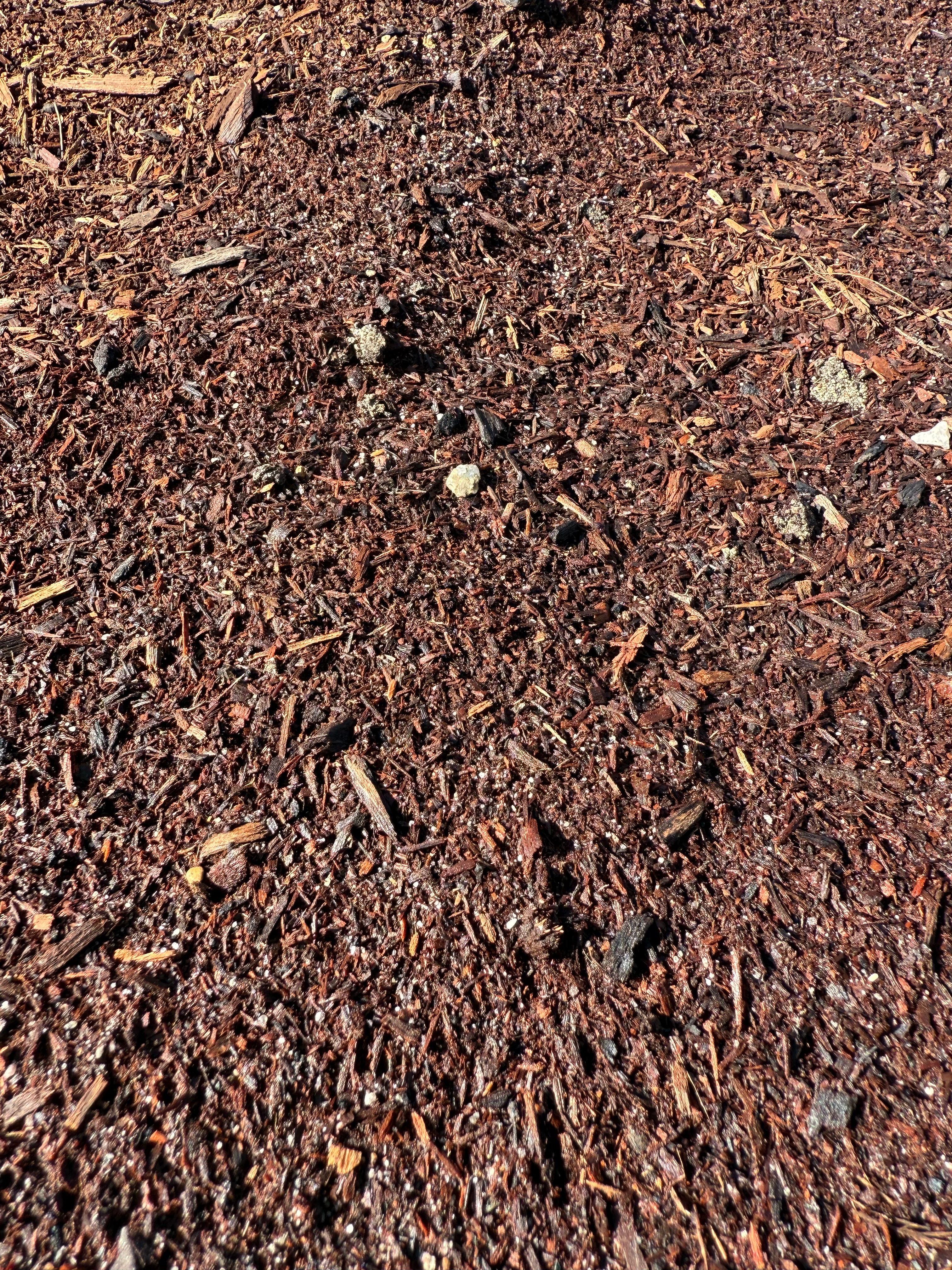 Jarrah Sawdust