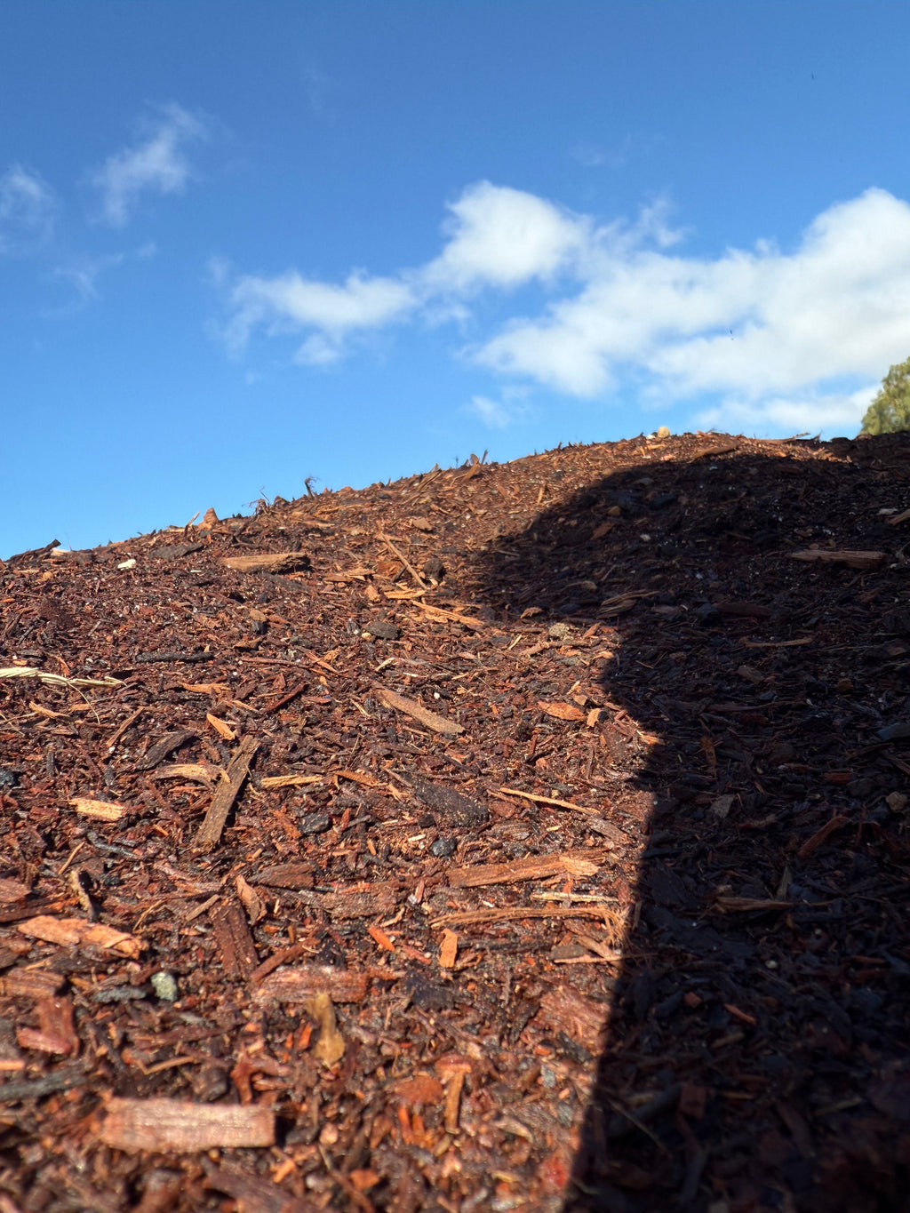 Jarrah Sawdust